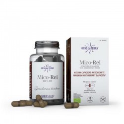 Hifas da terra mico-rey...