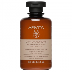 Apivita champu anticaspa seca