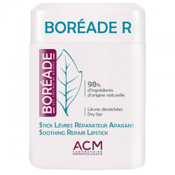 Boreade R stick reparador