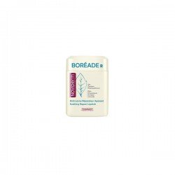 Boreade r stick reparador